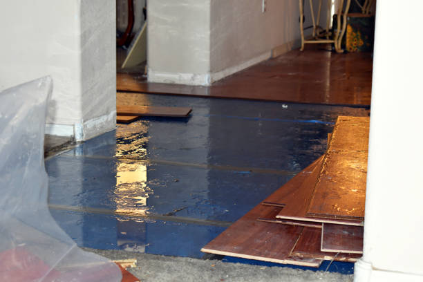 Professional Burst Pipe Cleanup technician working in Gowen, MI